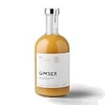 Las Mejores Bebidas de Jengibre para Acompañar tu Exquisito Sushi: Análisis y Comparativa