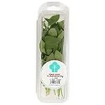 Taller de Sushi: Descubre las mejores opciones de albahaca en Carrefour para tus rolls