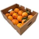 **Pomelos Blancos: El Complemento Perfecto para tu Sushi Favorito - Análisis y Comparativa de los Mejores Productos**