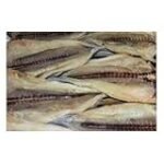Análisis de las mejores sardinas secas para sushi: ¡Descubre cuál es la mejor opción para tu plato favorito!