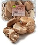 Análisis y comparativa: Seta matsutake, ¿vale la pena su precio para incluirla en tus platos de sushi?