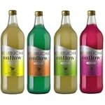 Descubre cómo el kombucha vitae puede potenciar tu experiencia al disfrutar de sushi: Análisis y comparativa de los mejores productos