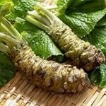 Análisis y comparativa: Las mejores semillas de wasabi para preparar sushi