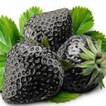 Las frutas exóticas más deliciosas para combinar con sushi: ¡Descubre las frutas raras del mundo!