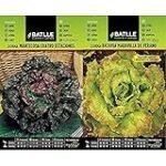 Lechuga Marina: El ingrediente fresco y original para tus rolls de sushi - Análisis y comparativa de los mejores productos