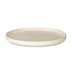 Análisis de los mejores platos beige para presentar sushi: ¡Descubre cuál es el ideal para tus creaciones culinarias!