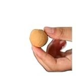 Longan: la fruta exótica que no puede faltar en tu sushi a un precio irresistible