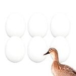 Análisis de precios: ¿Cuánto cuestan los huevos de pato para sushi?