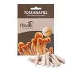 Guía de compra: Setas Nameko ideales para preparar deliciosos sushi