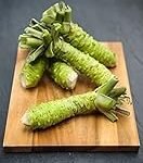 Guía de compra: Semilla de wasabi para preparar el mejor sushi en casa