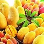 Análisis de semillas de mango para sushi: descubre las mejores opciones del mercado