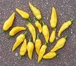 Análisis de los mejores productos para sushi con aji limo peru: ¡Descubre el toque picante perfecto!