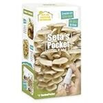 Análisis y comparativa de los mejores sets de setas pocket para preparar sushi como un experto