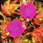 Semillas de pitaya: el toque exótico en tus creaciones de sushi ¡Descubre las mejores opciones del mercado!