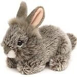 Análisis y comparativa: ¿Cómo elegir la mejor coneja de angora para preparar sushi?