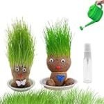 Las mejores plantas kawaiis para decorar tu mesa de sushi: análisis y comparativa